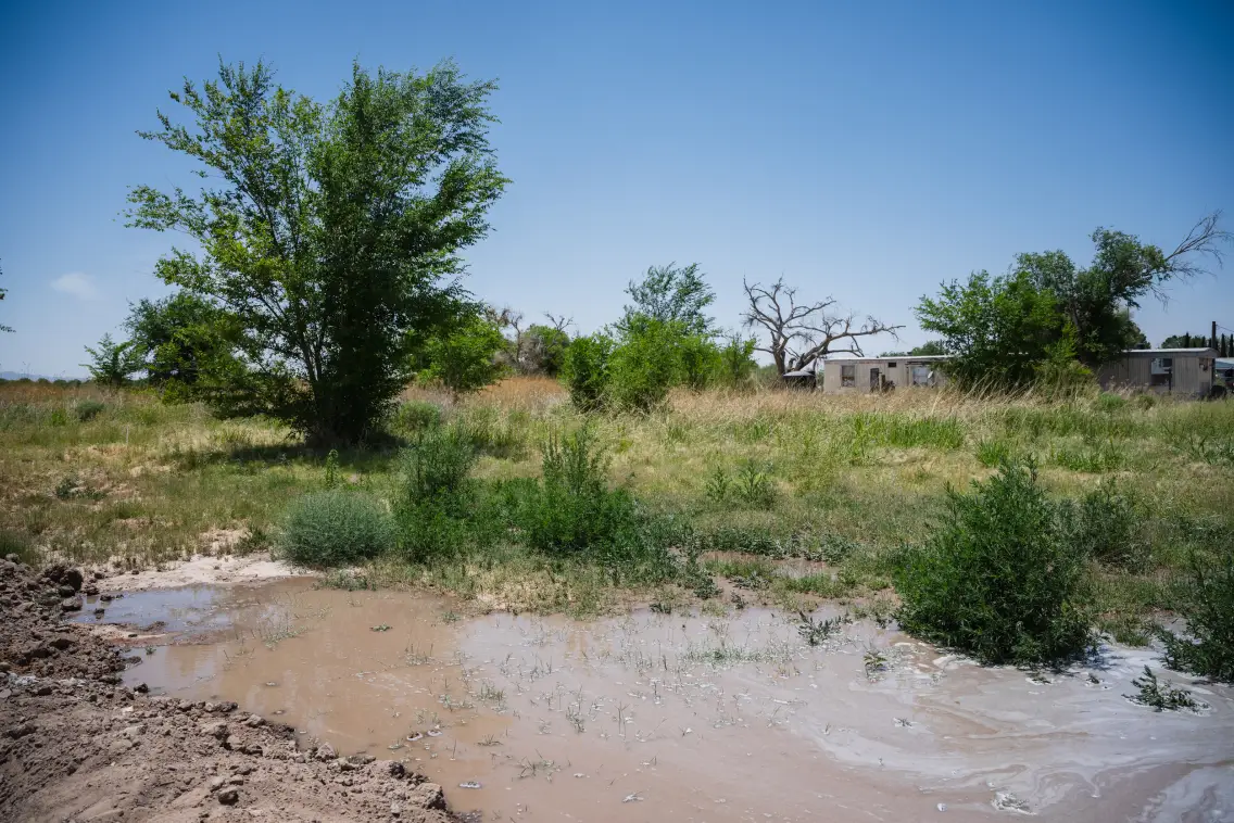 Investing in Sanitation